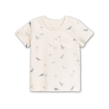 Organic Baby & Kids Everest Tee - Dino / Thyme